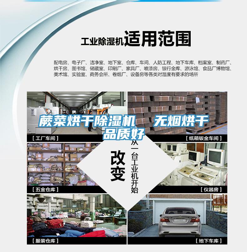 蕨菜烘幹草莓小视频黄色  無煙烘幹品質好