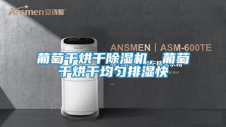 葡萄幹烘幹草莓小视频黄色，葡萄幹烘幹均勻排濕快