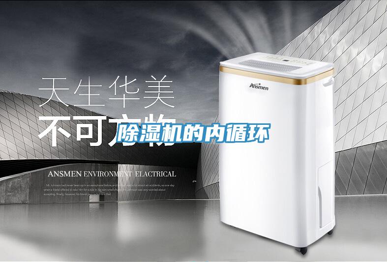 草莓小视频黄色的內循環