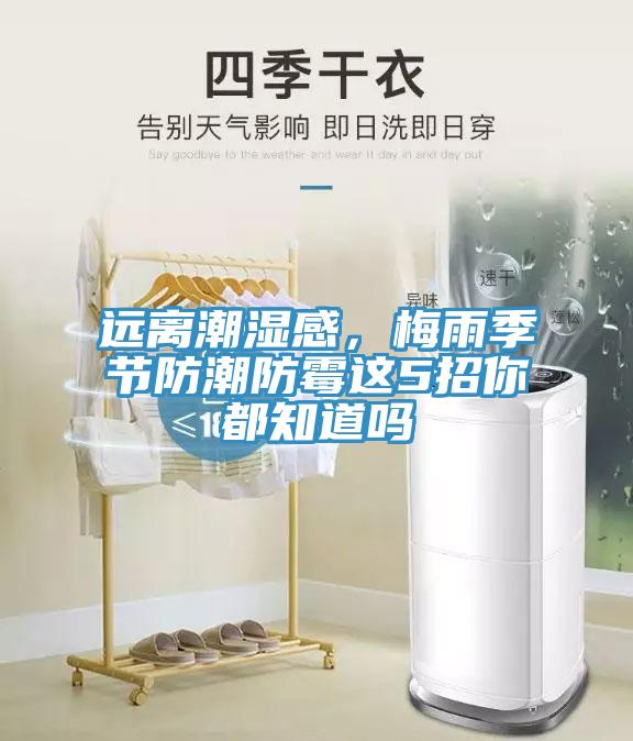 遠離潮濕感，梅雨季節防潮防黴這5招你都知道嗎