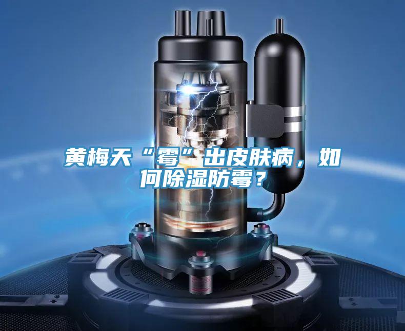 黃梅天“黴”出皮膚病，如何除濕防黴？
