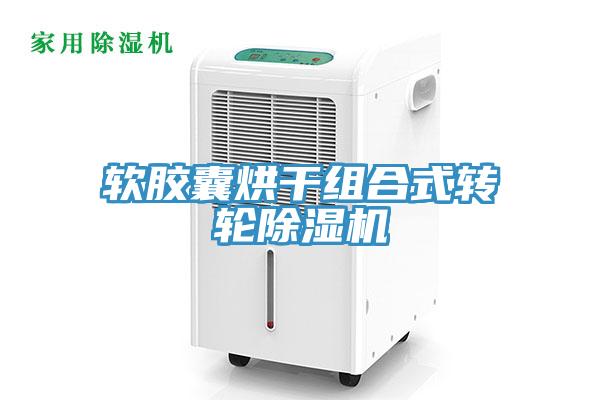 軟膠囊烘幹組合式轉輪草莓小视频黄色