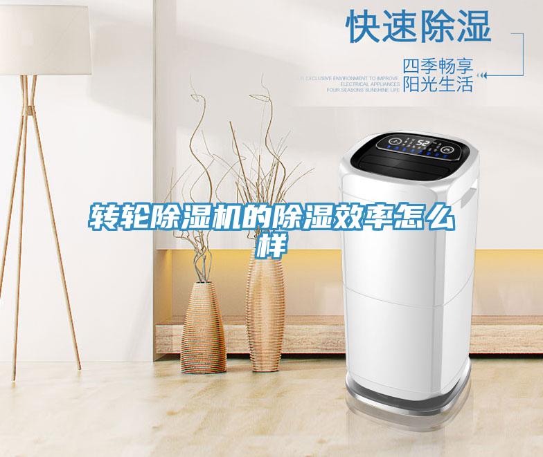 轉輪草莓小视频黄色的除濕效率怎麽樣