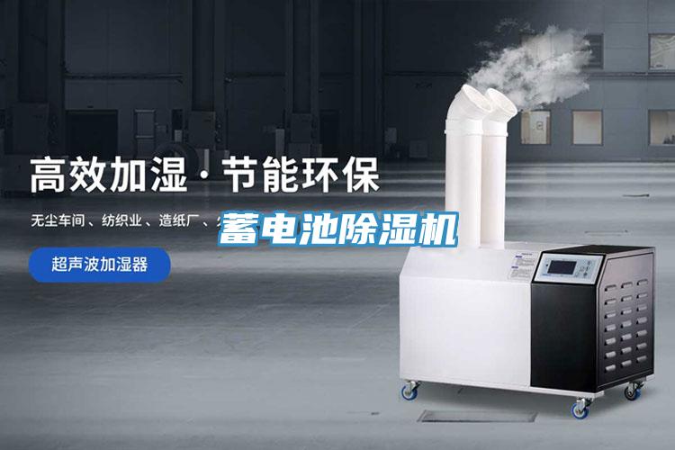 蓄電池草莓小视频黄色