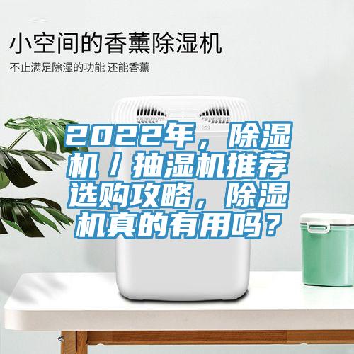 2022年，草莓小视频黄色／抽濕機推薦選購攻略，草莓小视频黄色真的有用嗎？
