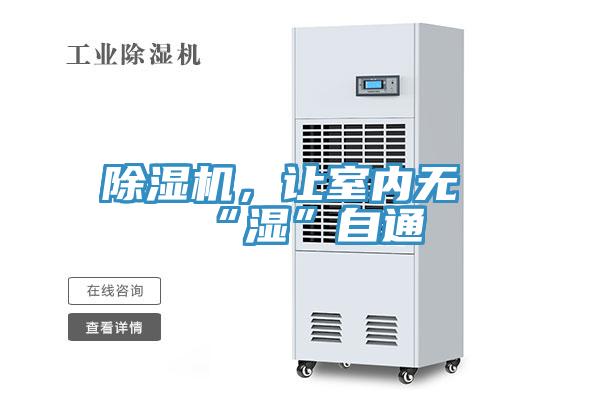 草莓小视频黄色，讓室內無“濕”自通