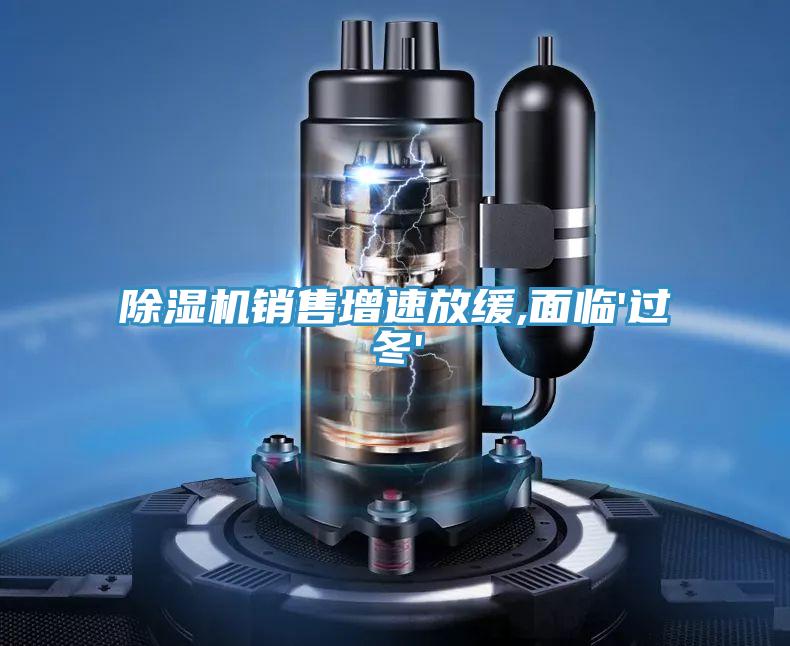 草莓小视频黄色銷售增速放緩,麵臨'過冬'