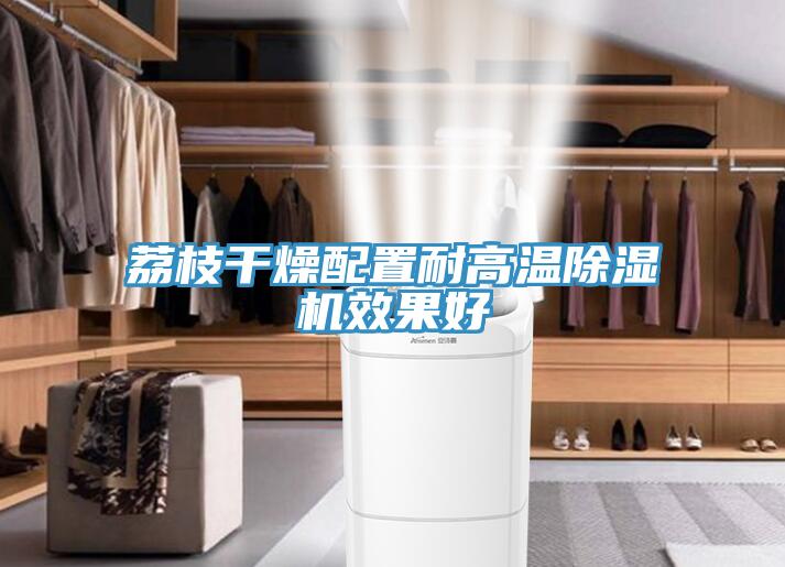荔枝幹燥配置耐高溫草莓小视频黄色效果好
