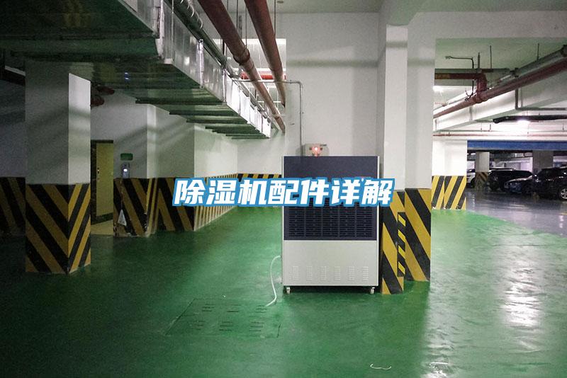 草莓小视频黄色配件詳解