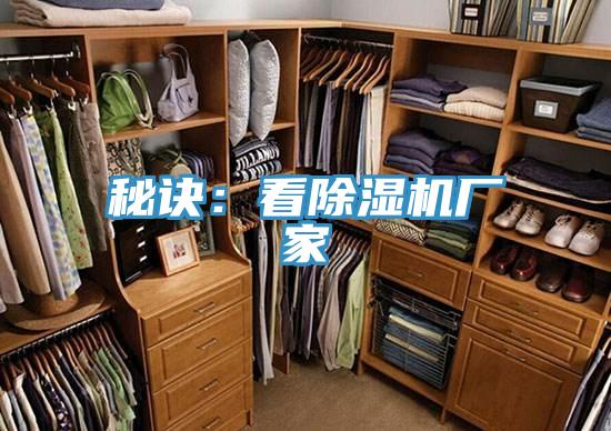 秘訣：看草莓小视频黄色廠家