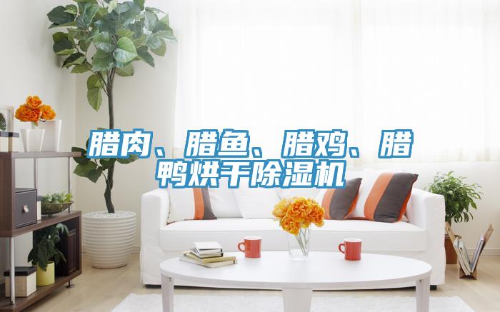 臘肉、臘魚、臘雞、臘鴨烘幹草莓小视频黄色
