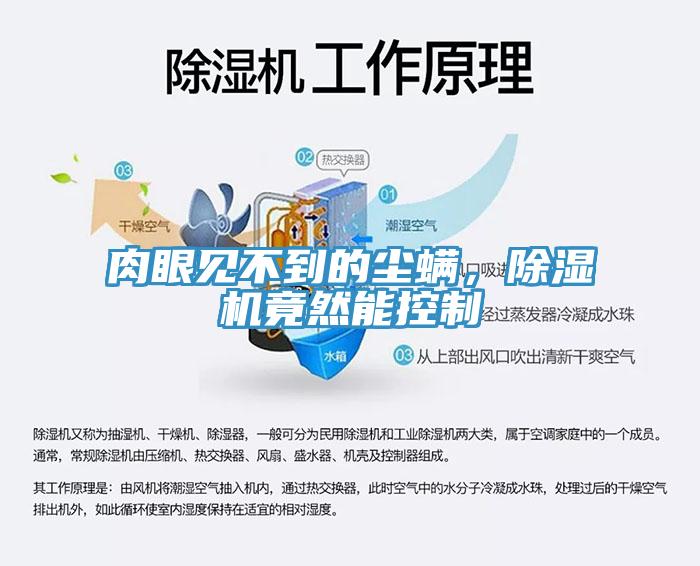 肉眼見不到的塵蟎，草莓小视频黄色竟然能控製