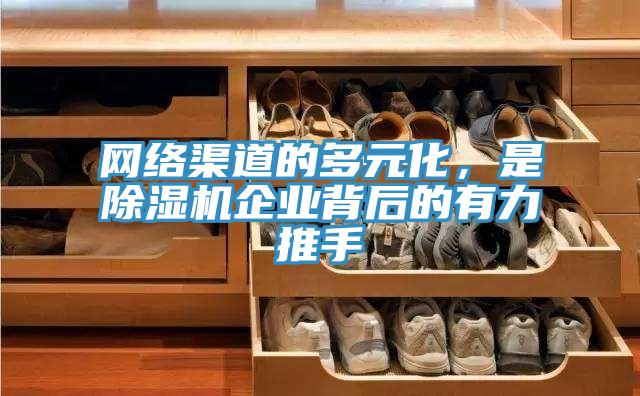 網絡渠道的多元化，是草莓小视频黄色企業背後的有力推手