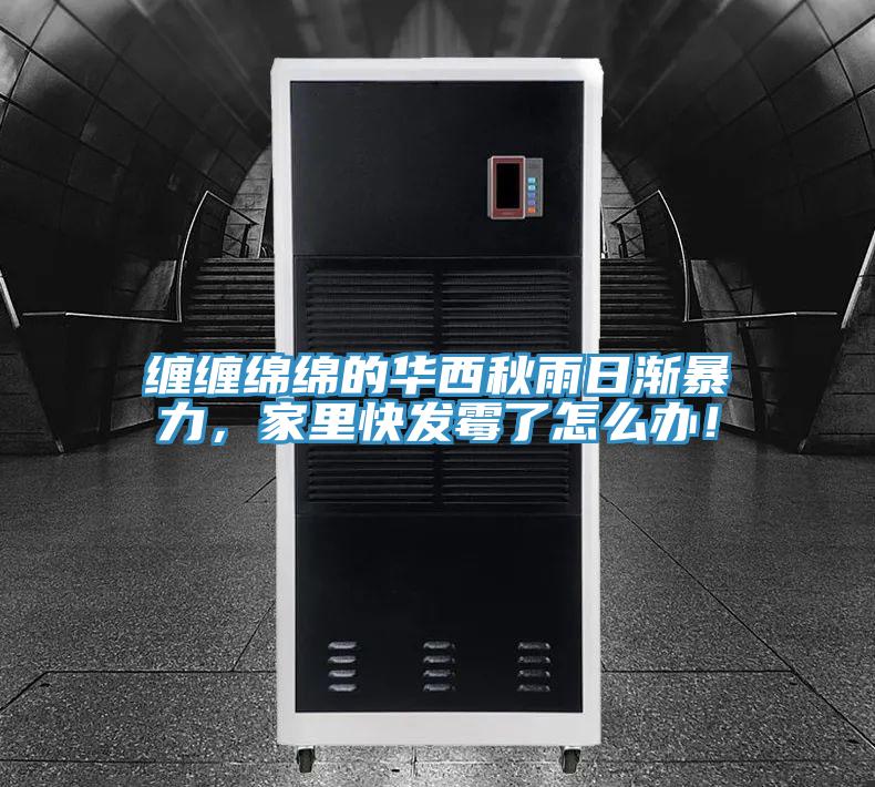 纏纏綿綿的華西秋雨日漸暴力，家裏快發黴了怎麽辦！