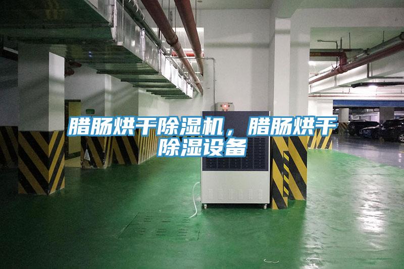 臘腸烘幹草莓小视频黄色，臘腸烘幹除濕設備
