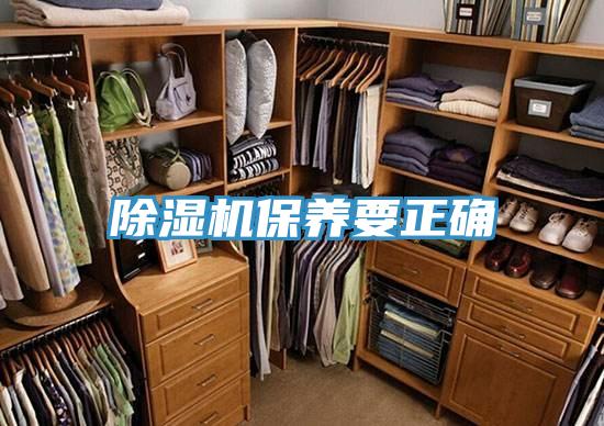 草莓小视频黄色保養要正確