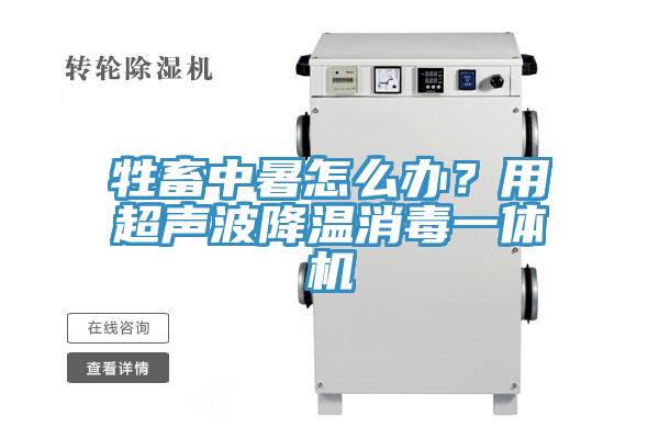 牲畜中暑怎麽辦？用超聲波降溫消毒一體機