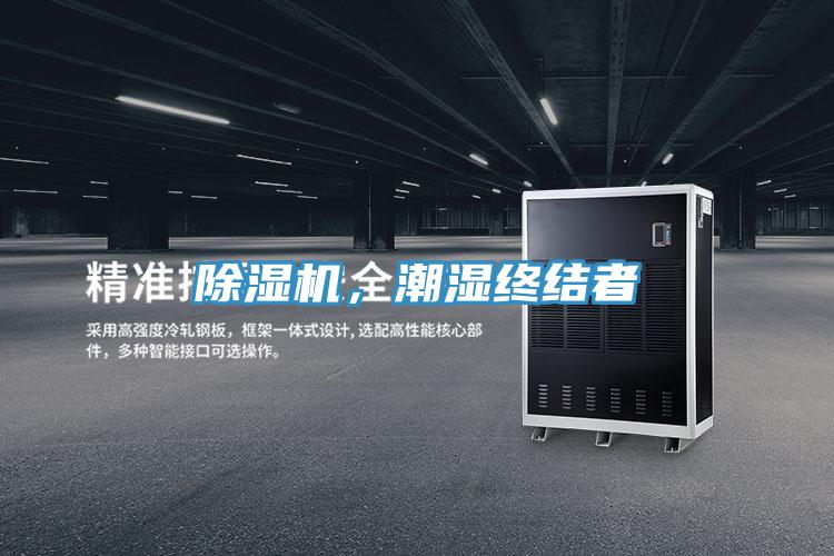 草莓小视频黄色，潮濕終結者