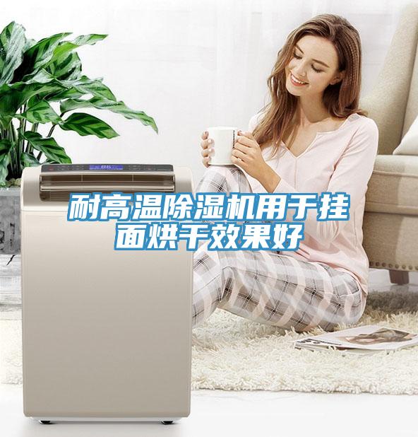 耐高溫草莓小视频黄色用於掛麵烘幹效果好