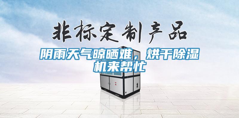 陰雨天氣晾曬難，烘幹草莓小视频黄色來幫忙