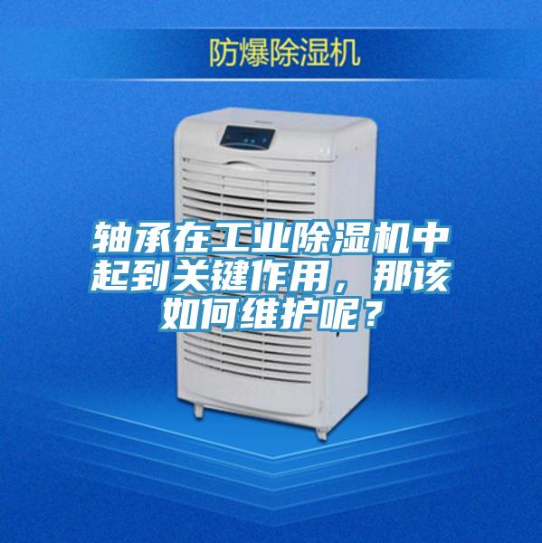 軸承在工業草莓小视频黄色中起到關鍵作用，那該如何維護呢？