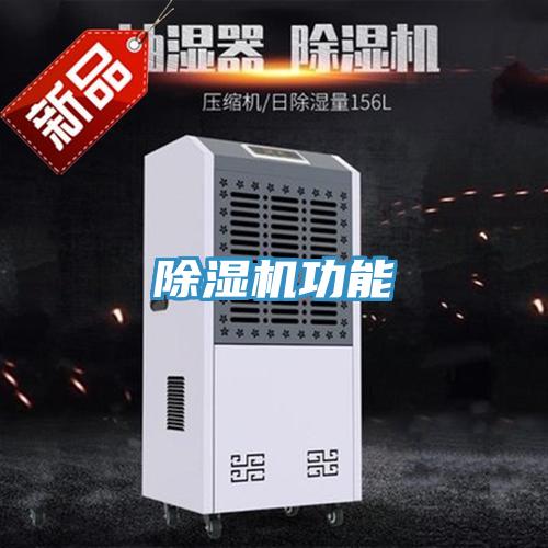 草莓小视频黄色功能