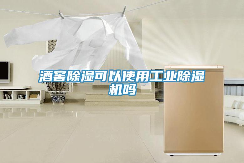 酒窖除濕可以使用工業草莓小视频黄色嗎