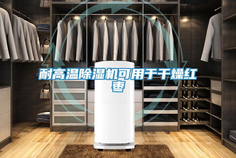 耐高溫草莓小视频黄色可用於幹燥紅棗