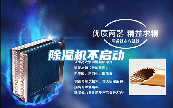 草莓小视频黄色不啟動