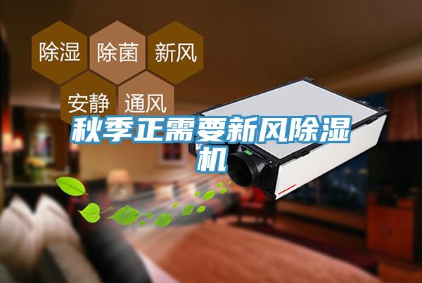 秋季正需要新風草莓小视频黄色