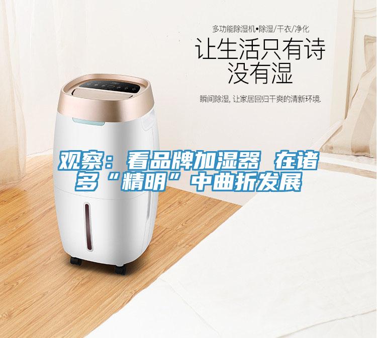 觀察：看品牌加濕器 在諸多“精明”中曲折發展