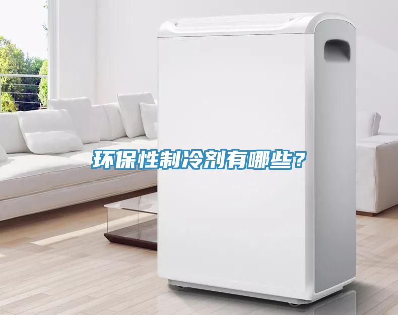 環保性製冷劑有哪些？
