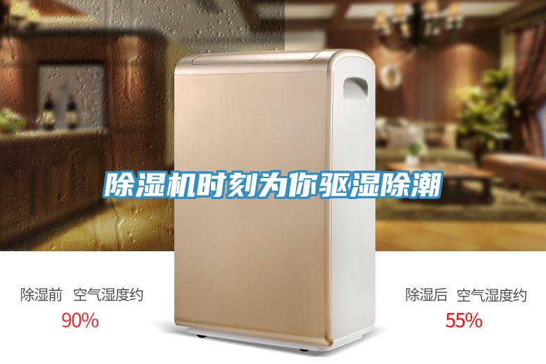 草莓小视频黄色時刻為你驅濕除潮