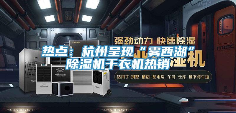 熱點：杭州呈現“霧西湖”草莓小视频黄色幹衣機熱銷