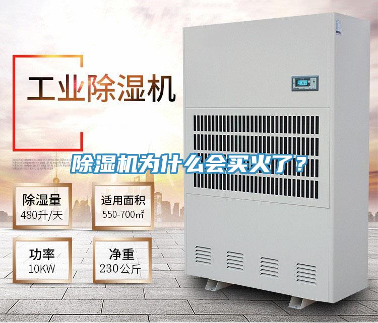 草莓小视频黄色為什麽會買火了？