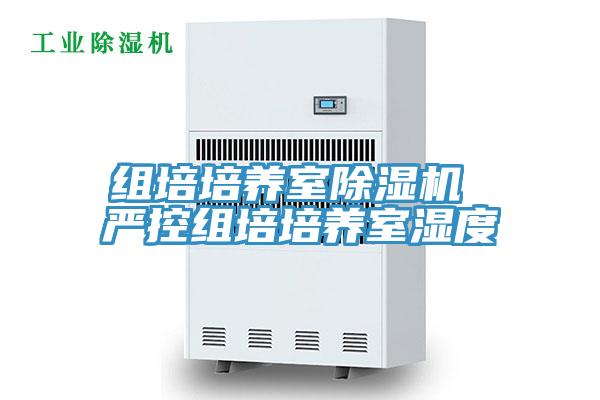 組培培養室草莓小视频黄色 嚴控組培培養室濕度