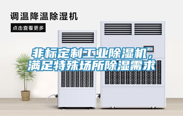 非標定製工業草莓小视频黄色，滿足特殊場所除濕需求