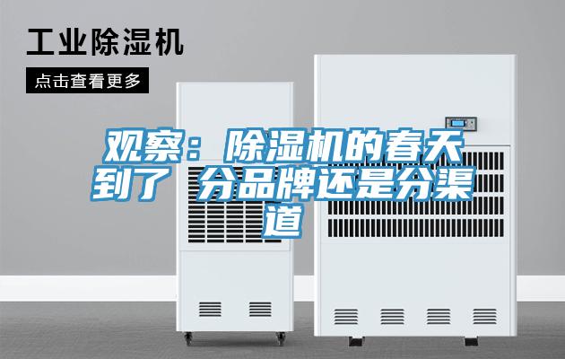 觀察：草莓小视频黄色的春天到了 分品牌還是分渠道