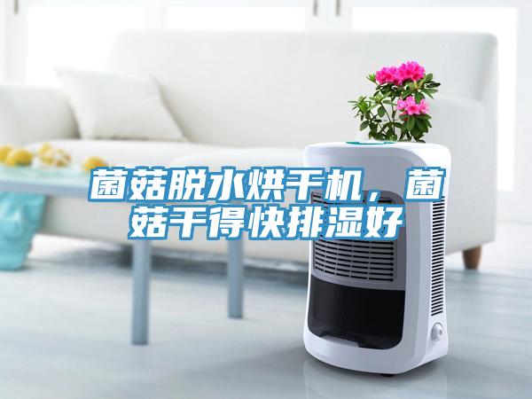 菌菇脫水烘幹機，菌菇幹得快排濕好