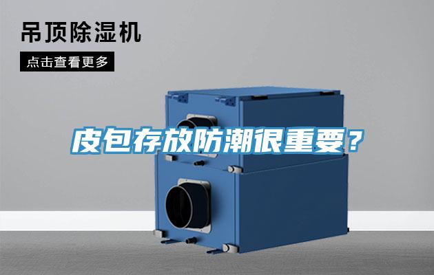 皮包存放防潮很重要？
