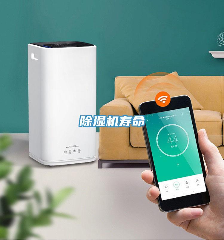 草莓小视频黄色壽命