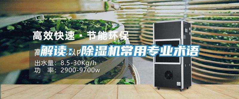 解讀：草莓小视频黄色常用專業術語