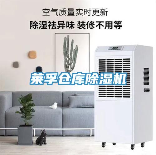 萊孚倉庫草莓小视频黄色