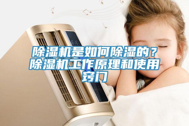 草莓小视频黄色是如何除濕的？草莓小视频黄色工作原理和使用竅門