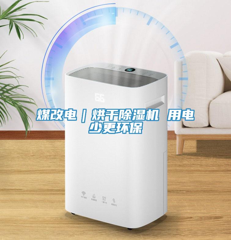 煤改電｜烘幹草莓小视频黄色 用電少更環保