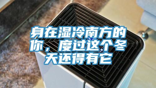 身在濕冷南方的你，度過這個冬天還得有它
