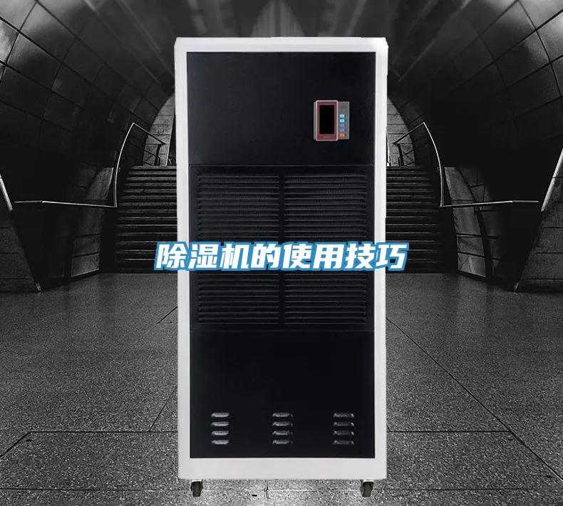 草莓小视频黄色的使用技巧