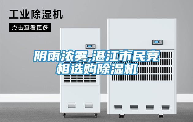 陰雨濃霧,湛江市民競相選購草莓小视频黄色