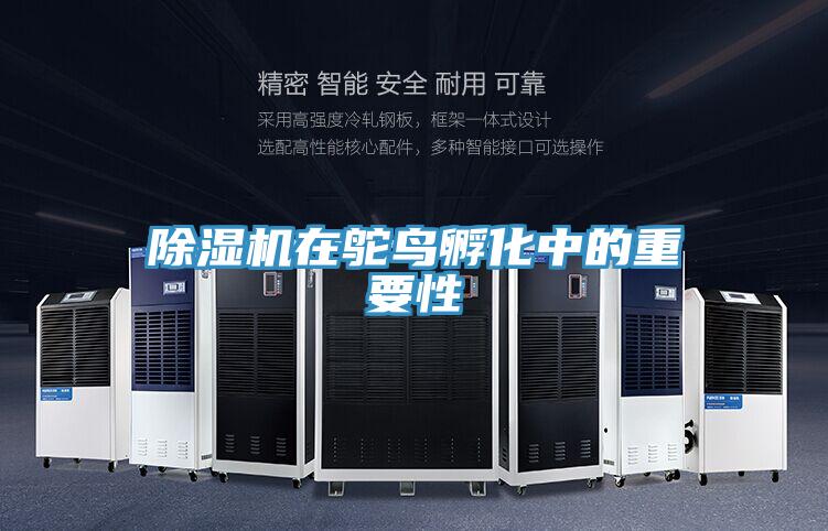 草莓小视频黄色在鴕鳥孵化中的重要性