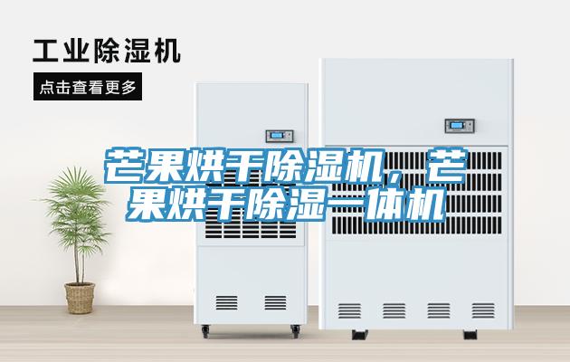 芒果烘幹草莓小视频黄色，芒果烘幹除濕一體機